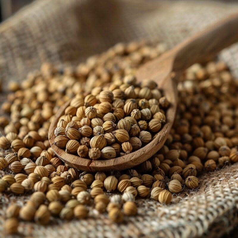 Dietary Tips on how to consume Coriander Seeds